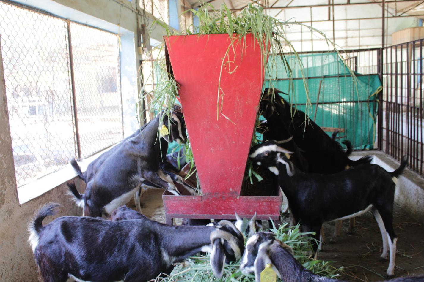Konkan Kanyal Hoat unit.jpg 1